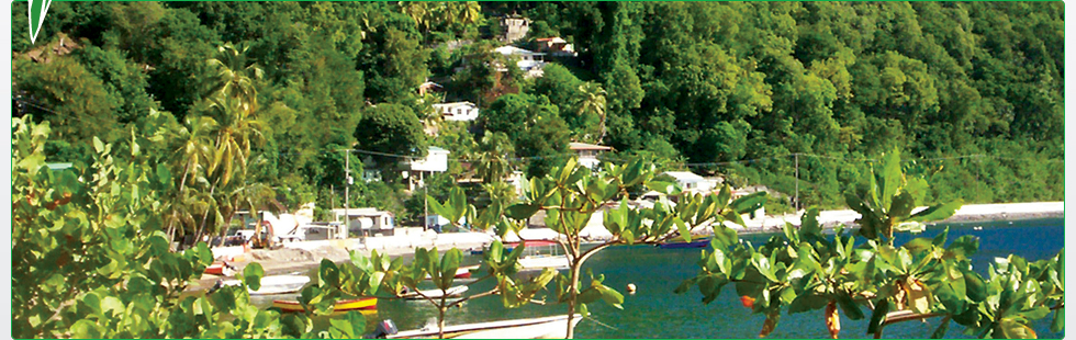Louis Villa local views